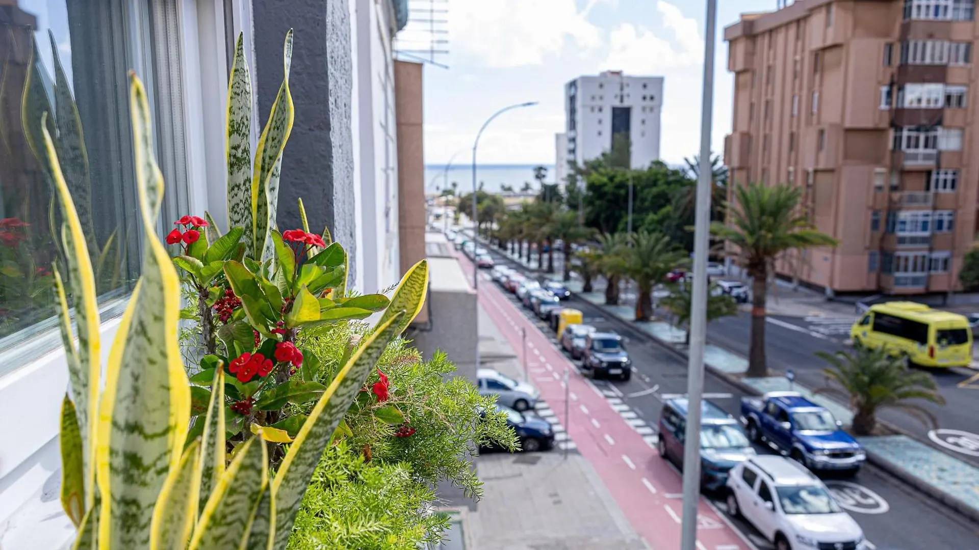 Bambu Suites Vegueta Alquiler Por Habitacion Las Palmas de Gran Canaria