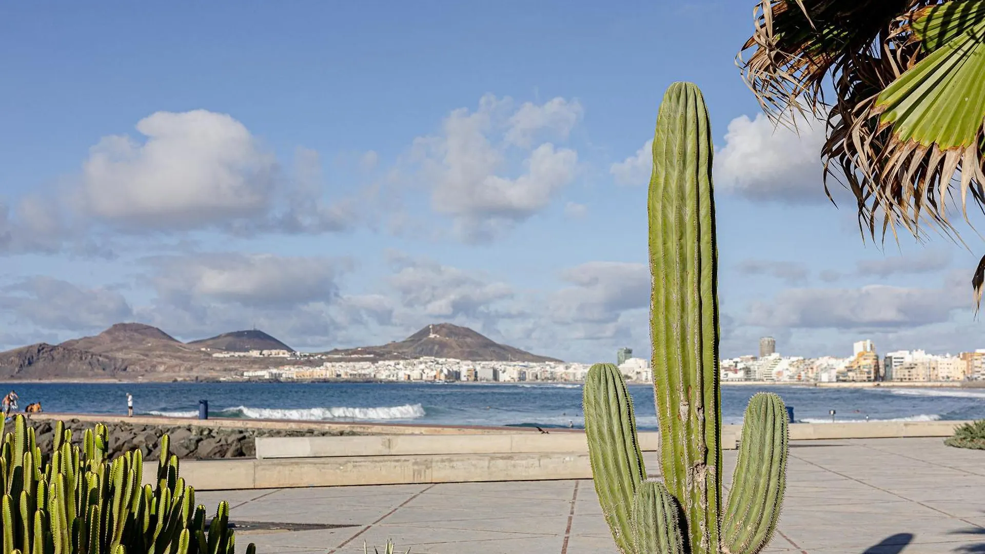 Bambu Suites Vegueta Alquiler Por Habitacion Las Palmas de Gran Canaria Spagna